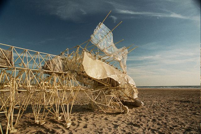 animals at the beach 2.jpg